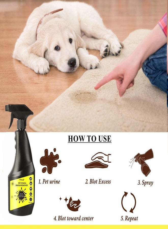 VetSafe Pet Stain & Odour Remover 500 ml | 3X Cleaning Power | Eliminates Tough Stains & Odours | Prevents Repeat Marking | Ideal for Feces, Urine, Vomit & Drool | Pet Area Cleaner - Image 3